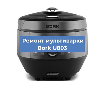 Замена чаши на мультиварке Bork U803 в Волгограде